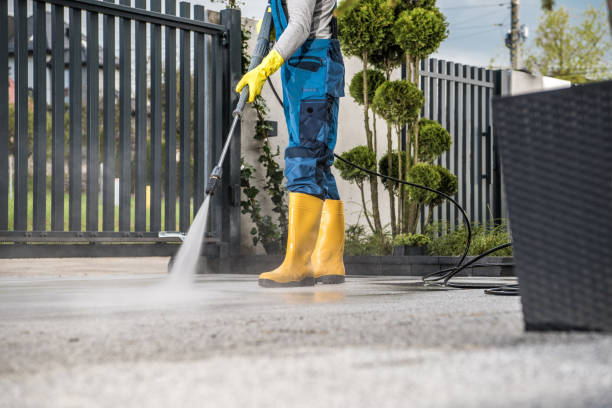 Best Soft Washing  in Mayfair, CA